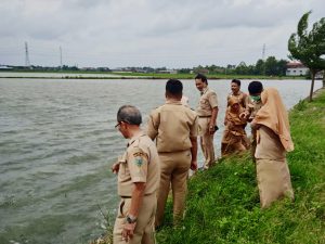 Tampak jajaran Dispertan Kudus sedang memantau sawah yang terendam