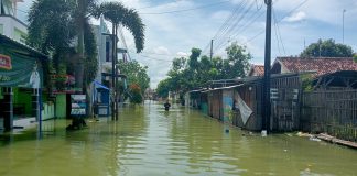 Ilustrasi penampakan banjir di Desa Bumirejo Kecamatan Juwana Kabupaten Pati