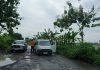 Gula merah yang diangkut sebuah mobil pikap tumpah lantaran jalan tersebut rusak banyak lubang disertai genangan air