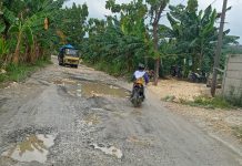 Salah satu penampakan jalan rusak di Sukolilo - Prawoto