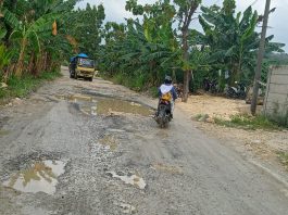 Salah satu penampakan jalan rusak di Sukolilo - Prawoto