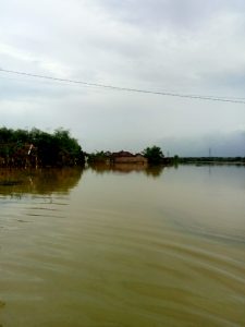 Lahan pertanian di Desa Mintobasuki Kecamatan Gabus Kabupaten Pati terendam banjir (Samin News/istimewa)
