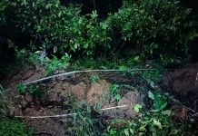 Tanah longsor di Desa Gunungsari menyebabkan akses jalan Tlogowungu - Gunungwungkal terputus