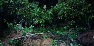 Tanah longsor di Desa Gunungsari menyebabkan akses jalan Tlogowungu - Gunungwungkal terputus