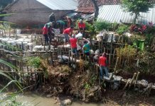 Aktivis Peduli Lingkungan (Akpel) memperbaiki tanggul ambrol di bantaran Sungai Suwatu Desa Bulumanis Kidul Kecamatan Margoyoso, Pati