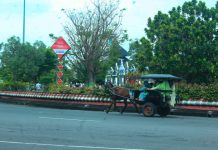 Foto: Salah satu delman yang melewati area Simpang Enam Kabupaten Demak (Istimewa)