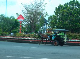 Foto: Salah satu delman yang melewati area Simpang Enam Kabupaten Demak (Istimewa)