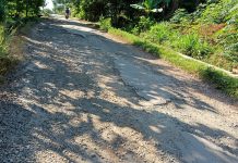 Penampakan jalan milik Pemkab di Desa Sumur - Mojo Kecamatan Cluwak rusak