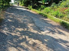 Penampakan jalan milik Pemkab di Desa Sumur - Mojo Kecamatan Cluwak rusak