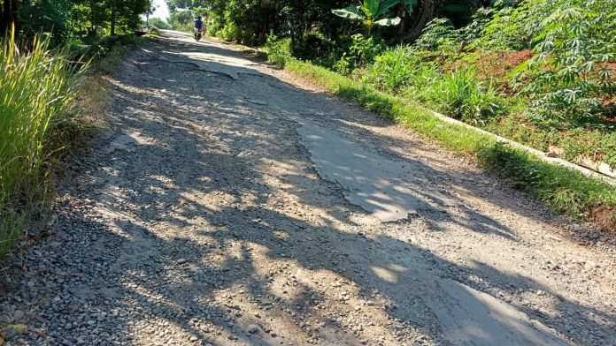 Penampakan jalan milik Pemkab di Desa Sumur - Mojo Kecamatan Cluwak rusak