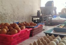 Harga telur di pasar Puri Baru merangkak naik