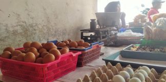 Harga telur di pasar Puri Baru merangkak naik