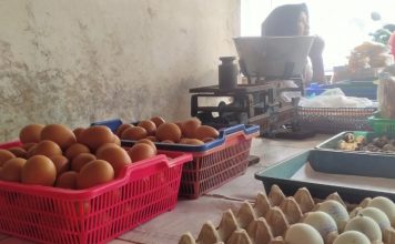 Harga telur di pasar Puri Baru merangkak naik