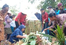 Warga berebut gunungan hasil bumi saat sedekah bumi desa Jrahi Kecamatan Gunungwungkal Pati, Selasa (6/6/2023)