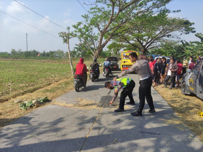 Kecelakaan Antar Tiga Kendaraan di Grobogan Sebabkan Seorang Meninggal Dunia