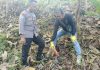 Petugas melakukan evakuasi atas penemuan seorang laki-laki tewas gantung diri di tegalan di pohon jati Desa Tajungsari, Tlogowungu (Istimewa)