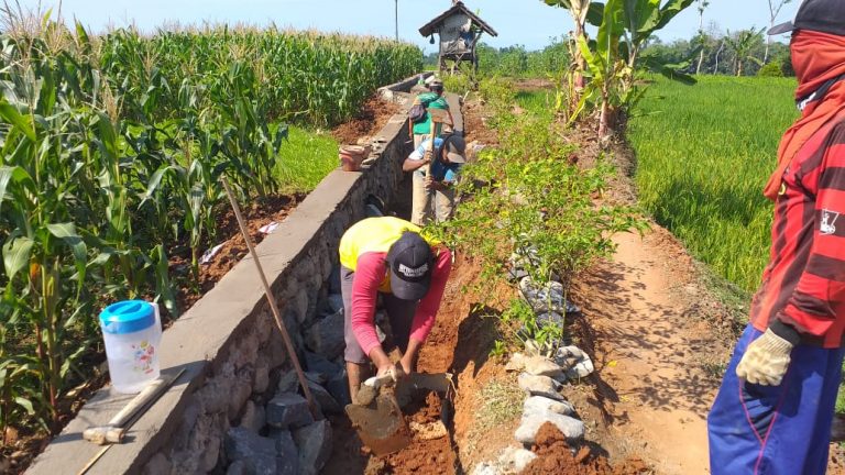 Pemdes Gunungwungkal Bangun Irigasi Pertanian