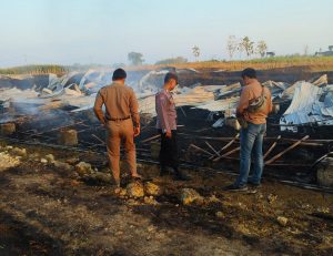 Kondisi kandang ayam di Desa Tanjungharjo, Ngaringan, Grobogan, usai terbakar.