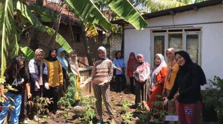 Manfaatkan Lahan Kosong, Mahasiswa KKN Tim II Undip Lakukan Penanaman Toga dan Hortikultura untuk Hijaukan Lingkungan