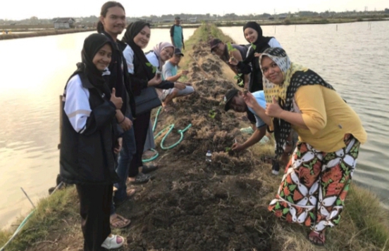 Manfaatkan Pematang Tambak, Mahasiswa Tim II KKN Undip Lakukan Penanaman Cabai bersama Petani Tambak Desa Jepat Lor