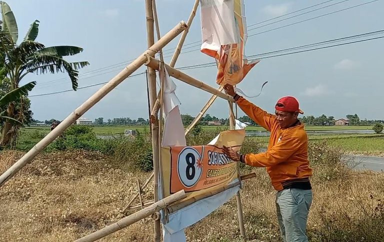 Tidak Ada Angin Dan Hujan, Belasan Baliho Caleg Partai Hanura Di Grobogan Rusak