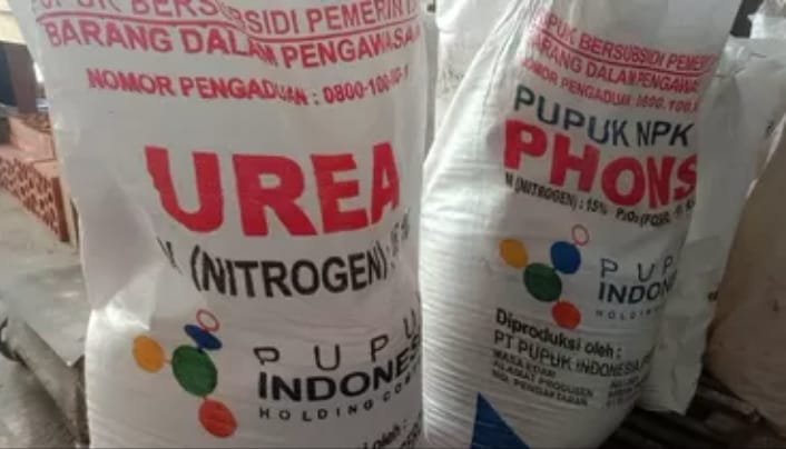 Penerimaan Kuota Pupuk Subsidi di Pati Anjlok