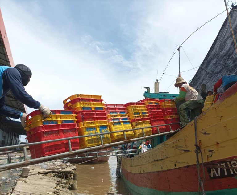 Harga Ikan Tangkap Merosot, Belum Diketahui Kembali Stabil