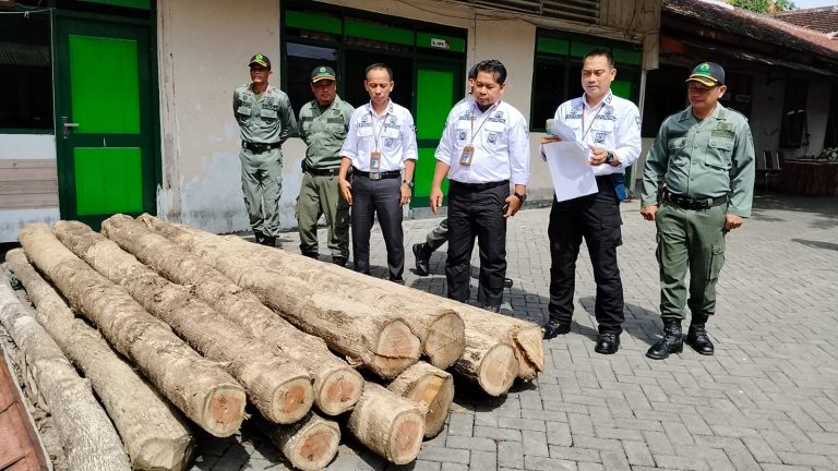 Pelaku Pencurian 10 Batang Kayu Ditangkap, Dua Masih Berstatus Buron