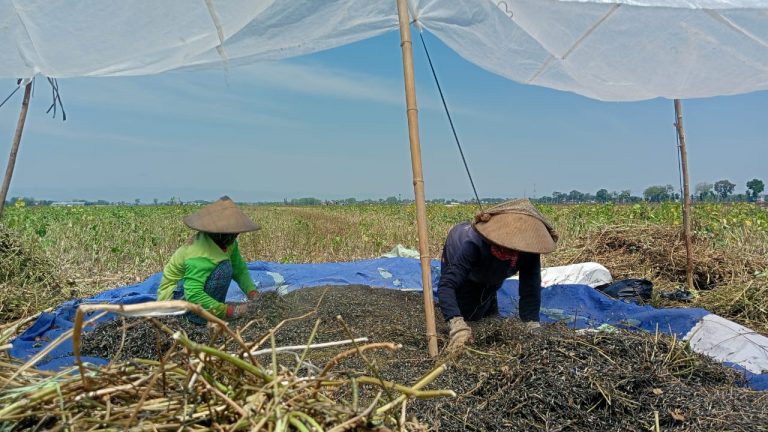 DPRD Pati Yakin Kedaulatan Pangan Bisa Dicapai