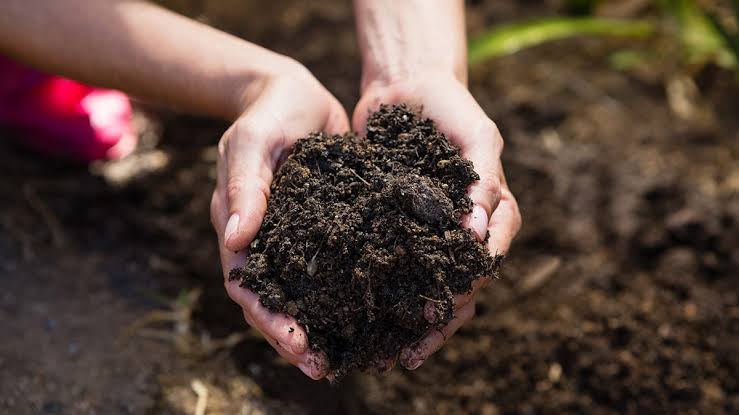 Anggota DPRD Pati Dukung Petani Gunakan Pupuk Organik