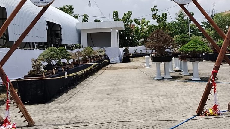 Pameran Bonsai Nasional di Grobogan, Ratusan Bonsai Cantik dan Mahal Dipamerkan