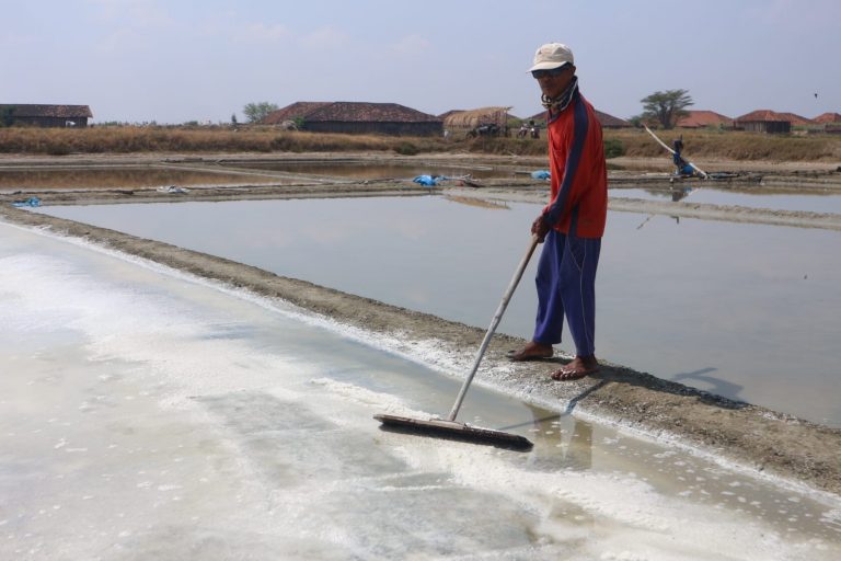 Petani Garam Ngeluh Harga Rendah: Kena Imbas Impor