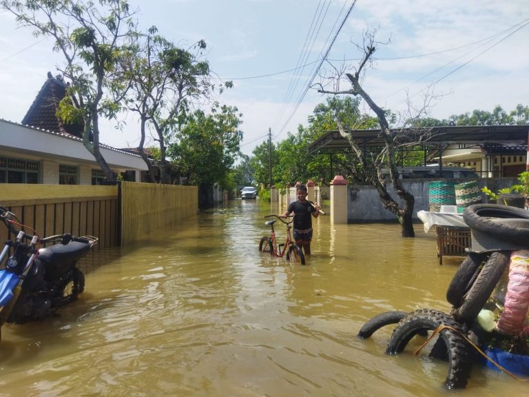 Hujan Deras dan Rob, Ratusan Rumah di Tayu Terendam Banjir 