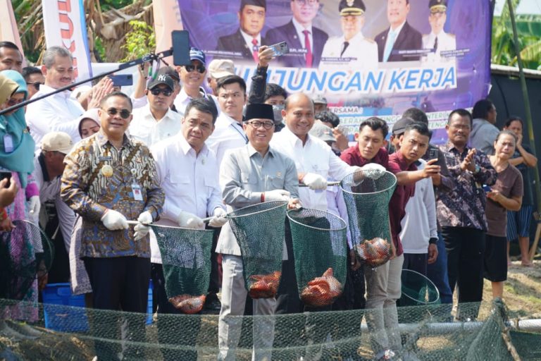 Kemendes dan KKP Bantu Kembangkan Budidaya Ikan Nila Salin Pati Go Internasional