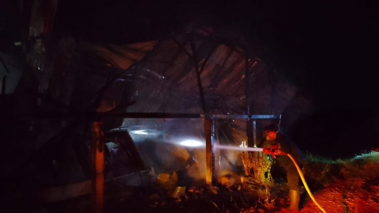 Kandang Ayam di Tambakromo Terbakar, Kerugian Capai Rp 500 Juta