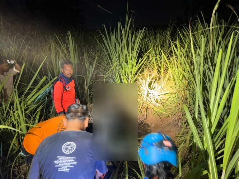 Mayat Perempuan Ditemukan di Ladang Tebu Desa Mulyoharjo, Polisi Pastikan Bukan Tindak Pidana