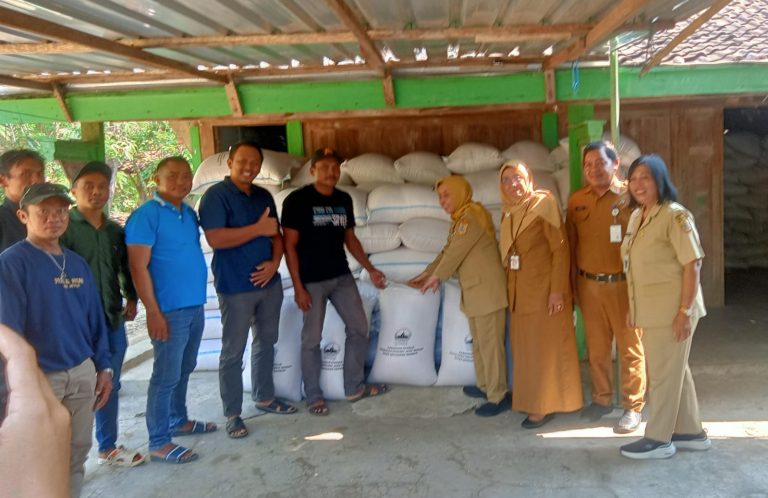 Harga Kedelai Anjlok, Petani Pati Dapat Subsidi Rp 1.500 per Kilo dari Pemprov Jateng