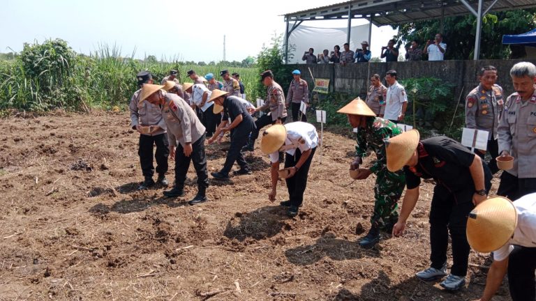 Polresta Pati Tanam Jagung Serentak Dukung Swasembada Pangan 2025