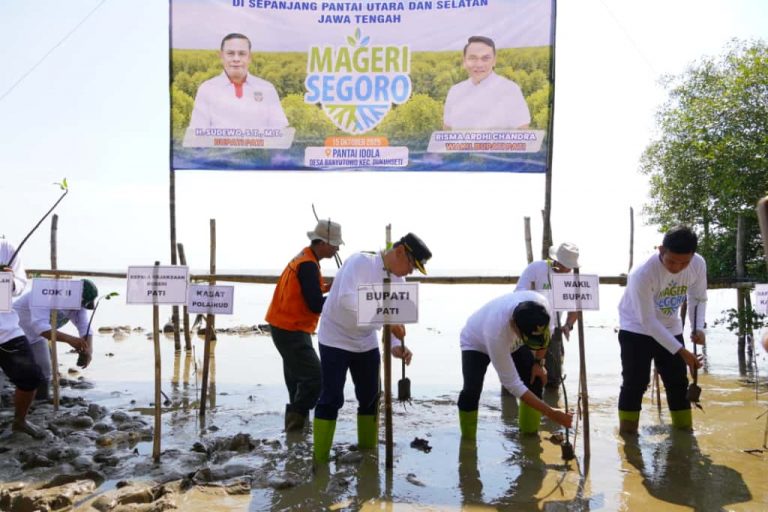 Bupati Pati Ajak Warga Banyutowo Tanam Mangrove, Dukung “Mageri Segoro”