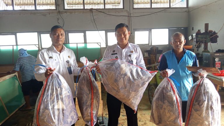 Panen Jangkrik di Lapas Pati: Dari Belik Jeruji, Tumbuh Kemandirian