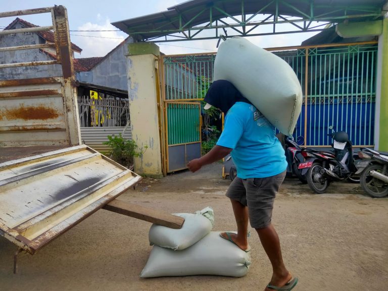 Bulog Serap Gabah Petani, Target 4 Juta Ton Setara Beras
