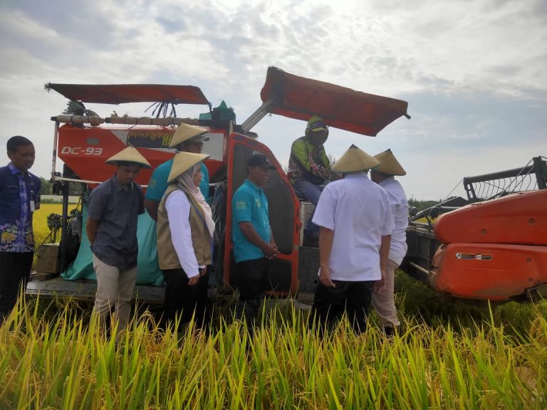 DPR RI Apresiasi Pati Produksi Padi Tinggi