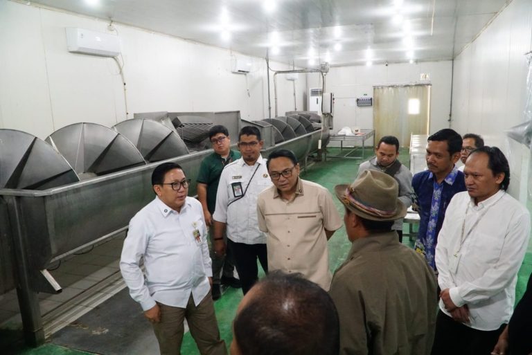 Kelangkaan DOC, Pemkab Pati Memperkuat Koordinasi Dengan Pemerintah Pusat