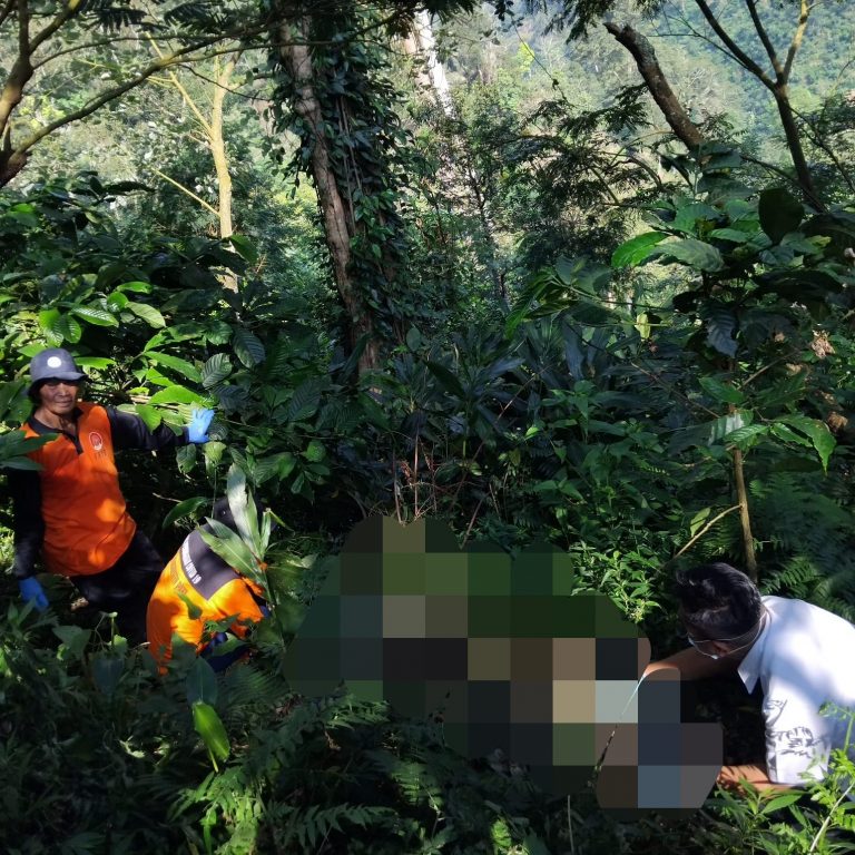 Kerangka Manusia Ditemukan di Perbukitan Gembong, Polisi Selidiki Identitas Korban