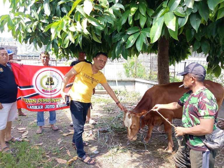 LSM Laskar Joyo Kusumo Sembelih 1 Sapi dan 4 Kambing Kurban