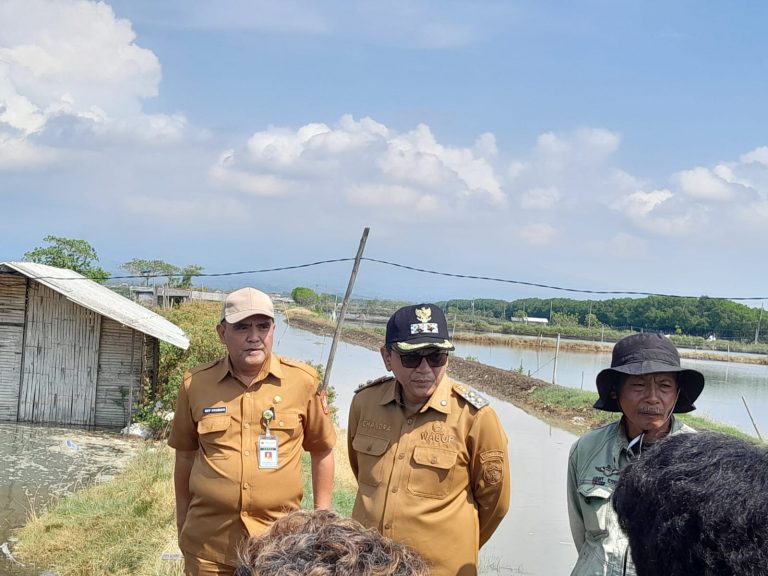 Tanggul Rob Tunggulsari Segera Diperbaiki Pemerintah