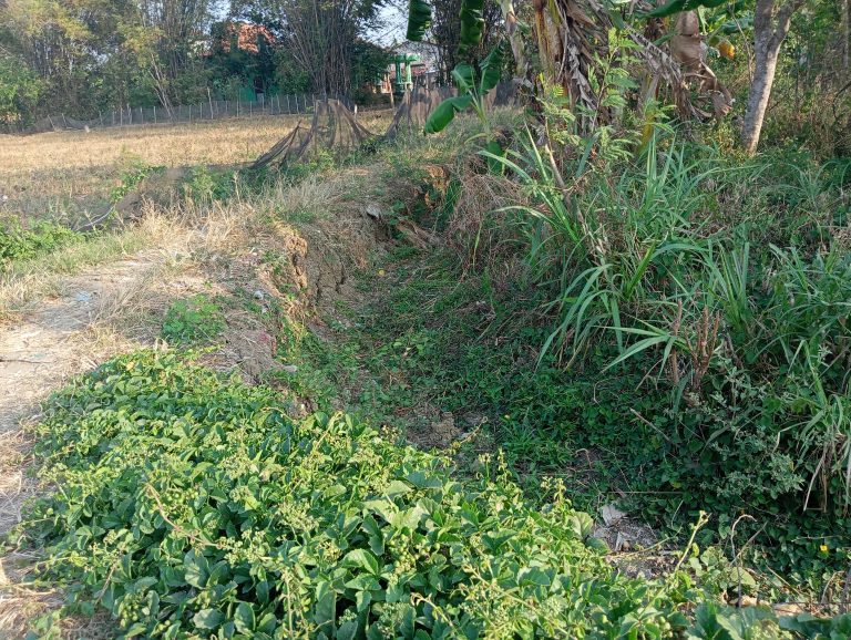 Talud Blok Rahmat Digarap, Ini Penjelasan Perangkat Desa Bogotanjung